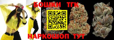 молекула духа Камышлов