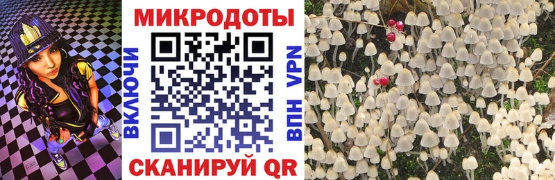 Галлюциногенные грибы Cubensis  Крымск 