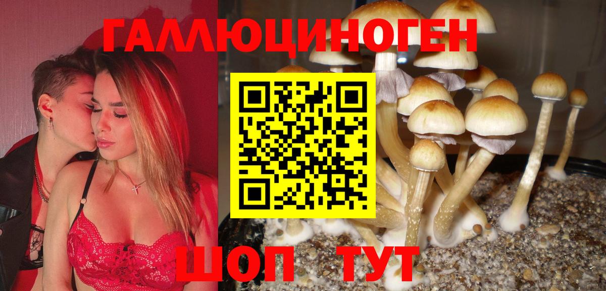 Крымск  Галлюциногенные грибы мицелий  Вход с VPN 