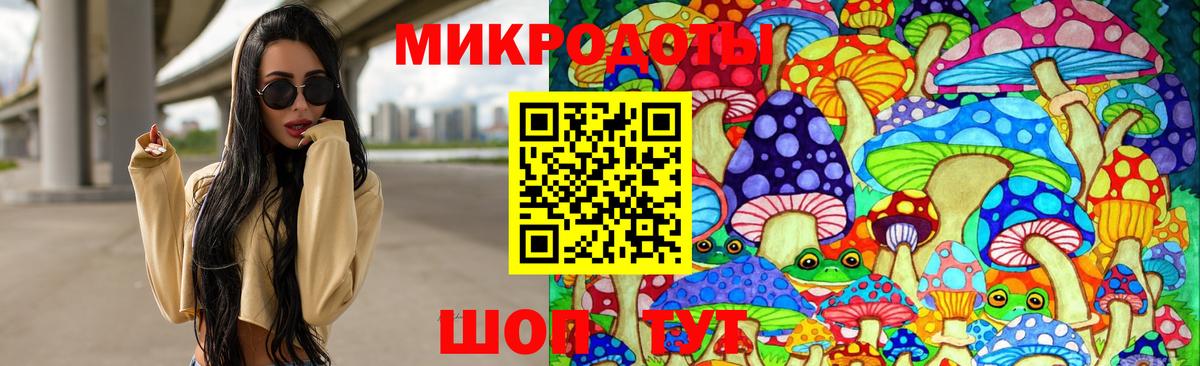 Псилоцибиновые грибы прущие грибы Крымск